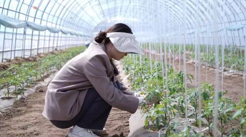 科技小院與共享菜園 科班研究生入村，為農產品種植注入新生機
